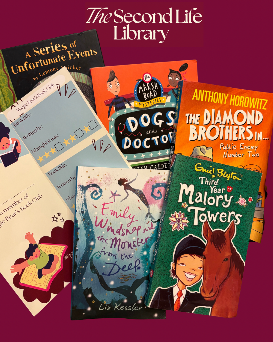 Children's Book Subscription (9-10 years)