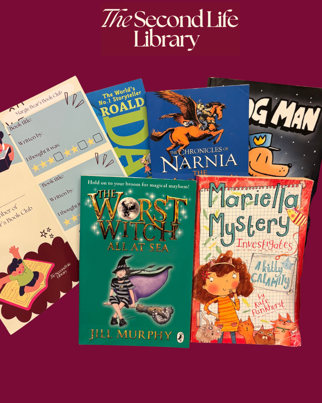 Children's Book Subscription (8-9 years)